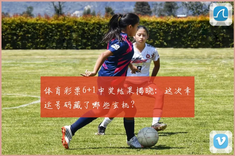 体育彩票6+1中奖结果揭晓:这次幸运号码藏了哪些玄机?