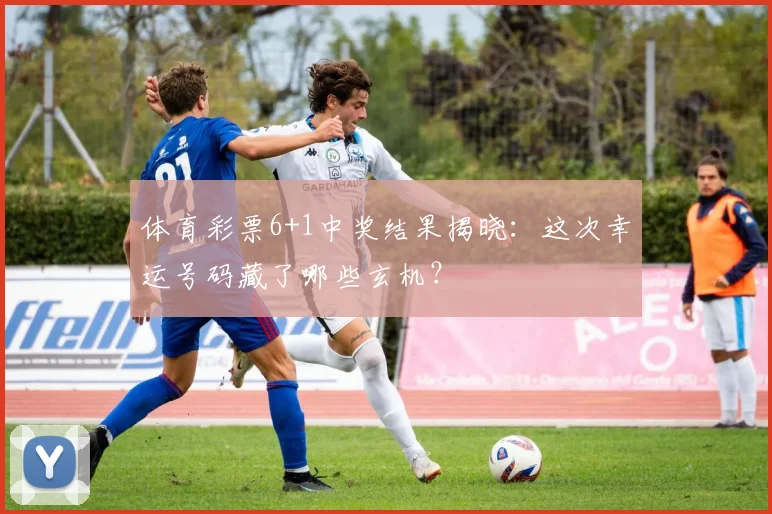 体育彩票6+1中奖结果揭晓：这次幸运号码藏了哪些玄机？